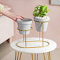 Minimalist Grey Planters Pair With Gold Stand