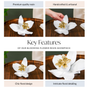 Blooming Flower Resin Showpiece For Home Decor White And Gold