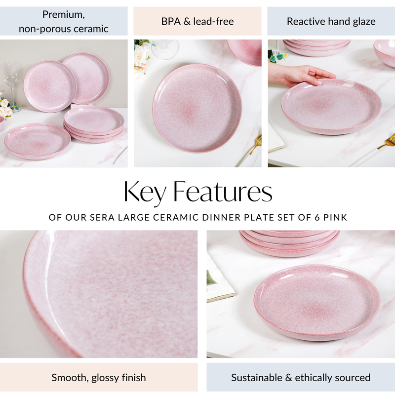 Sera Large Ceramic Dinner Plate Set Of 6 Pink 10 Inch
