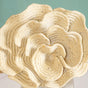 Resin Coral Reef Decor
