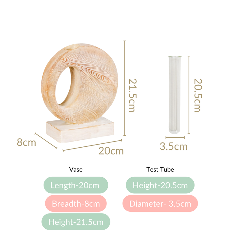 Contemporary Test Tube Showpiece Vase Decor- Modern Test Tube Vase, Showpiece Decor, Test Tube Vase Decor, Contemporary Vase Decor