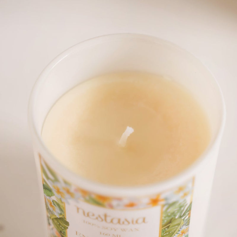 Plumeria Scented Candle Jar With Lid Set Of 2