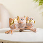 Wise Owls Home Decor