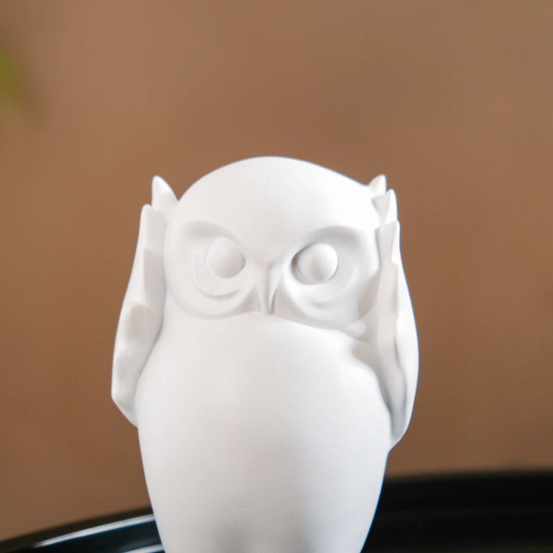 Wise Owl Resin Showpiece White Set Of 3