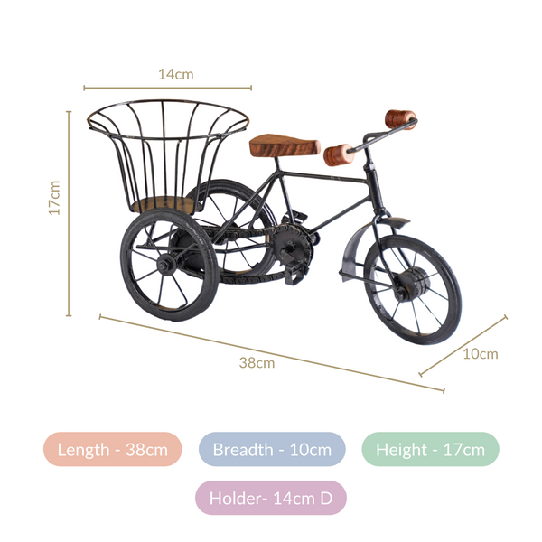 Metal Tricycle French Fry Basket