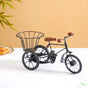 Metal Tricycle French Fry Basket