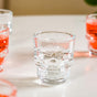 Spooky Skull Shot Glass Set Of 9 50ml