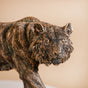 Majestic Tiger Showpiece For Room Decor