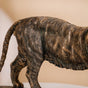 Majestic Tiger Showpiece For Room Decor