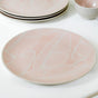 Tropica Pastel Pink Ceramic Dinner Plate Set Of 4 10 Inch