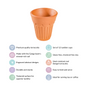 Real Bengal Terracotta Mini Kulhad Cup Set Of 12 60ml- Kulhad, tea cups, tea cup set, cutting chai glasses, tea cups with stand, terracotta tumblers