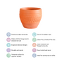 Set Of 10 Sustainable Terracotta Tea Cups 80ml - Kulhad, tea cup set, terracotta tea cups, earthen tea cups