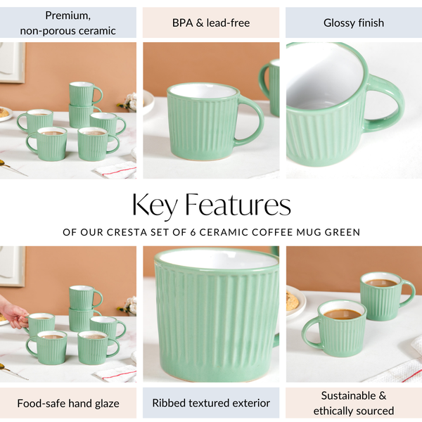 Cresta Set Of 6 Ceramic Coffee Mug Green 300ml