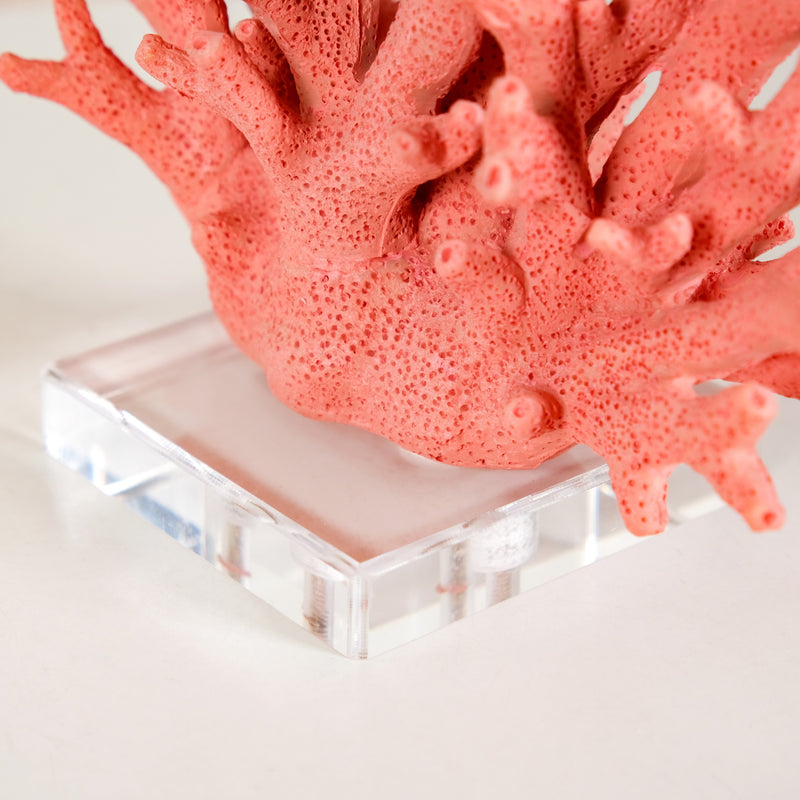 Vibrant Coral Coffee Table Decor