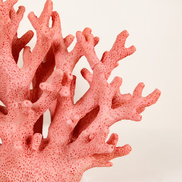 Vibrant Coral Coffee Table Decor