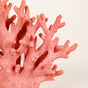 Vibrant Coral Coffee Table Decor