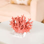 Vibrant Coral Coffee Table Decor