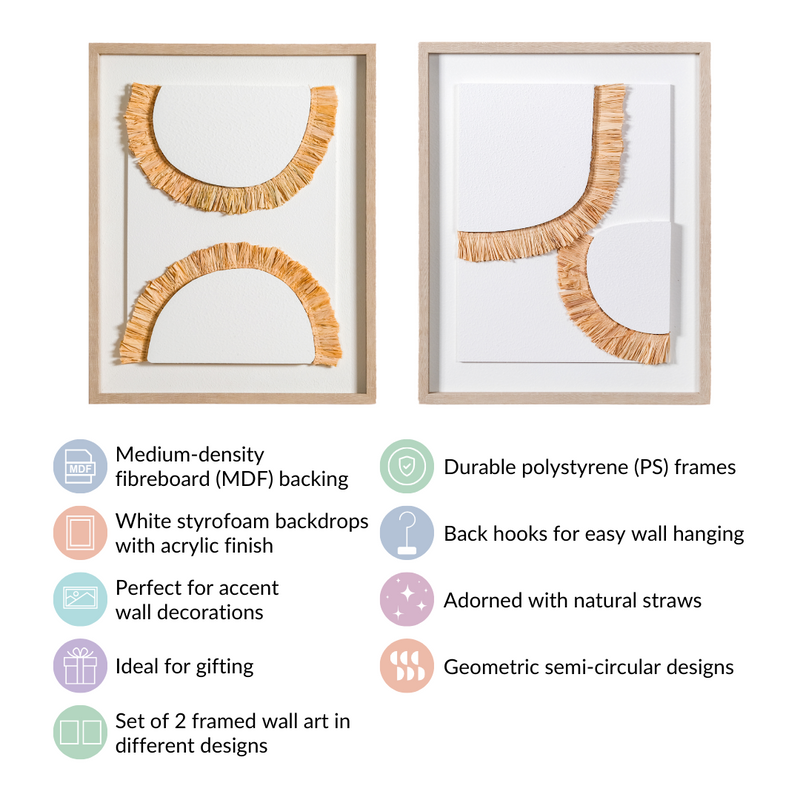 Set Of 2 Bohemian Straw Wall Art 20x16 Inch