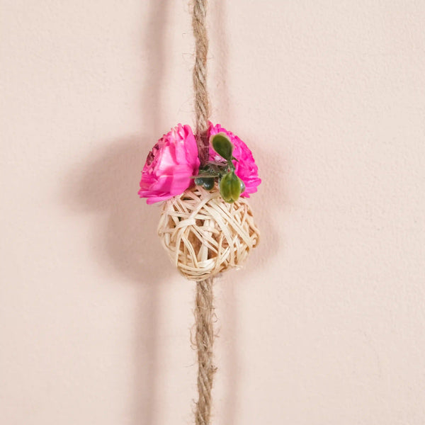 Sustainable Dried Flower Wall Hanging Set Of 6 Pink