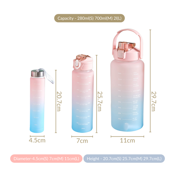 Motivational Water Bottles Set Of 3 Pink & Blue