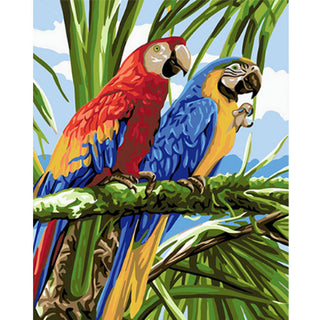 Tropical Macaws DIY Painting By Numbers Kit