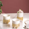 White Clay Desk Pot - Indoor planters and flower pots | Home decor items