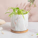 Carrara Ceramic Gold Detailed Planter With Wooden Coaster - Indoor planters and flower pots | Home decor items