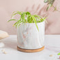 Earthy Elegance Planter Pot With Coaster Set Of 4