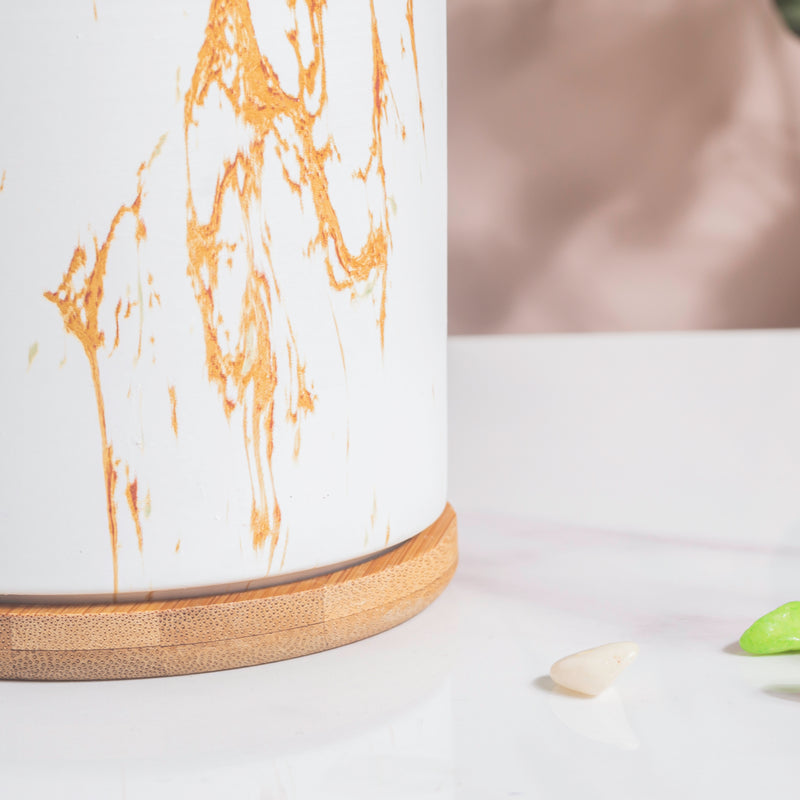 Earthy Elegance Planter Pot With Coaster Set Of 4