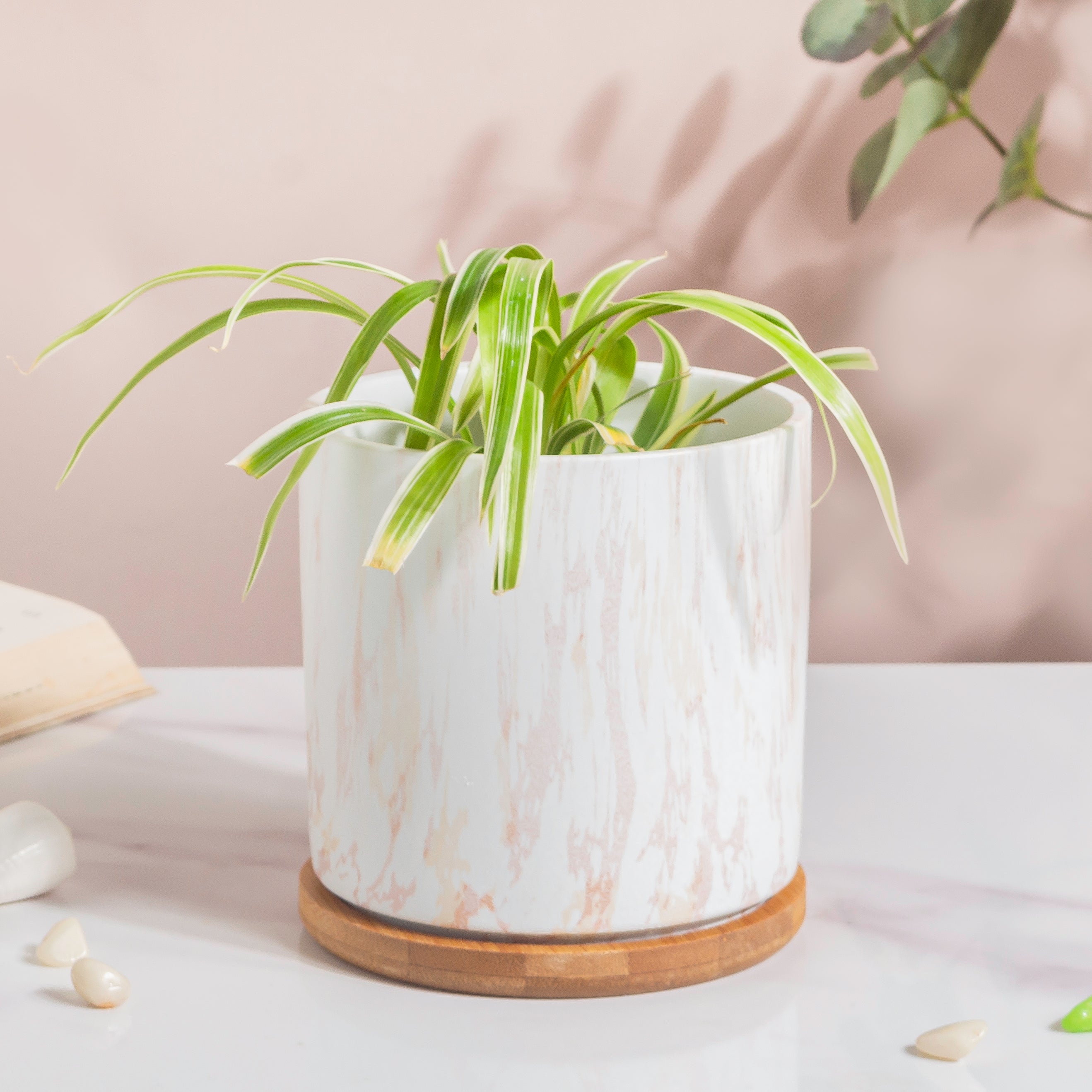 Carrara White And Brown Ceramic Planter With Wooden Coaster