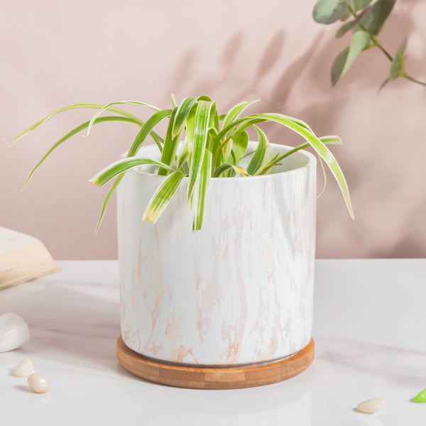 Carrara White And Brown Ceramic Planter With Wooden Coaster - Indoor planters and flower pots | Home decor items