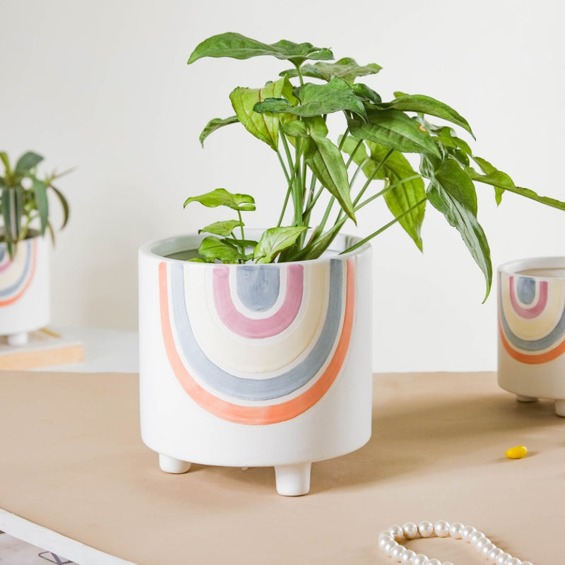 Rainbow Round Pot Large - Indoor planters and flower pots | Home decor items