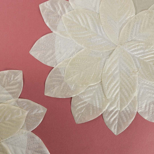 White Placemat Set of 2