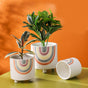 Rainbow Round Pot Large - Indoor planters and flower pots | Home decor items