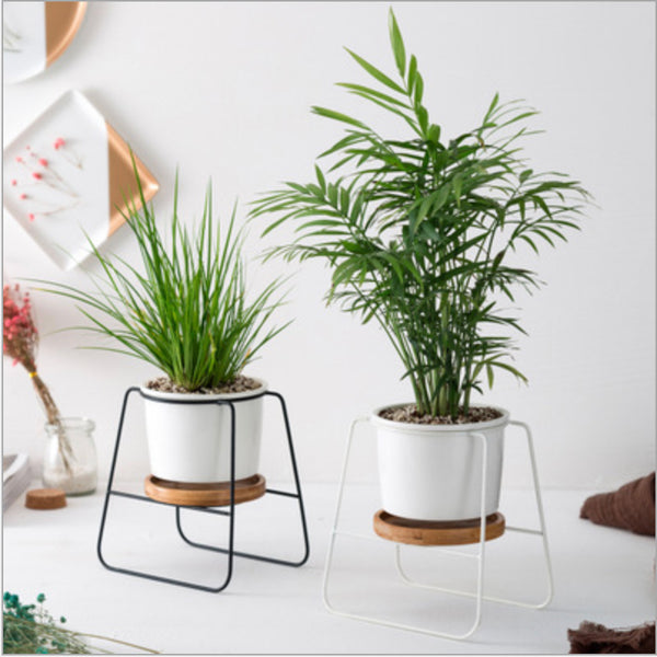 Black Metal Planter - Indoor planters and flower pots | Home decor items