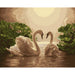 Swans Pair DIY Painting By Numbers Kit