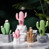 Cactus Display Pink Large - Showpiece | Home decor item | Room decoration item