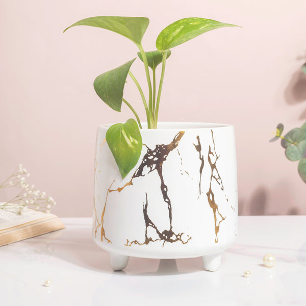 Halcyon Gold White Marble Ceramic Planter With Legs Large - Indoor planters and flower pots | Home decor items