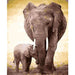 Elephant And Cub DIY Painting By Numbers Kit