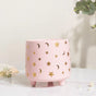 Stars and Moons Pink Ceramic Planter Large - Indoor planters and flower pots | Home decor items