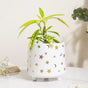 Stars and Moons White Ceramic Planter Large - Indoor planters and flower pots | Home decor items