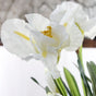 Artificial Iris - Artificial flower | Home decor item | Room decoration item