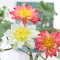 Artificial Lotus - Artificial flower | Home decor item | Room decoration item