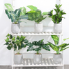 Artificial Plant Monstera - Artificial Plant | Flower for vase | Home decor item | Room decoration item