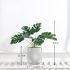 Artificial Plant Monstera - Artificial Plant | Flower for vase | Home decor item | Room decoration item
