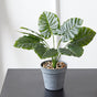 Artificial Plant in Pot - Artificial Plant | Flower for vase | Home decor item | Room decoration item