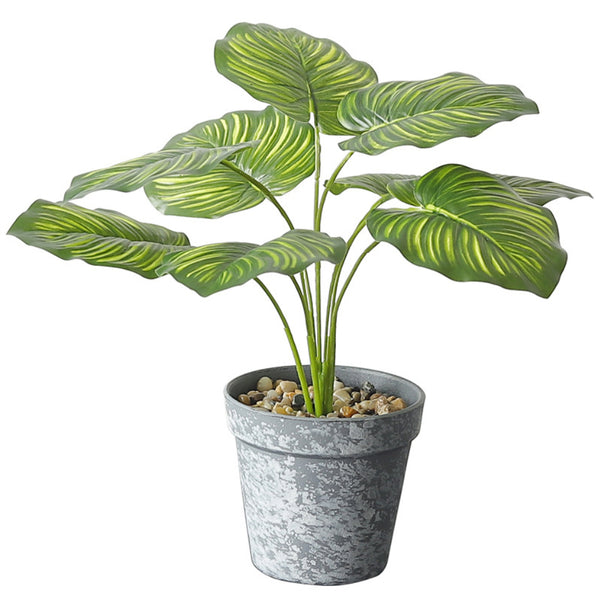 Artificial Plant in Pot