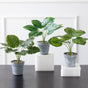 Artificial Plant in Pot - Artificial Plant | Flower for vase | Home decor item | Room decoration item