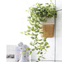 Artificial Vine - Artificial flower | Home decor item | Room decoration item