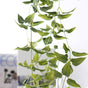 Artificial Vine - Artificial flower | Home decor item | Room decoration item